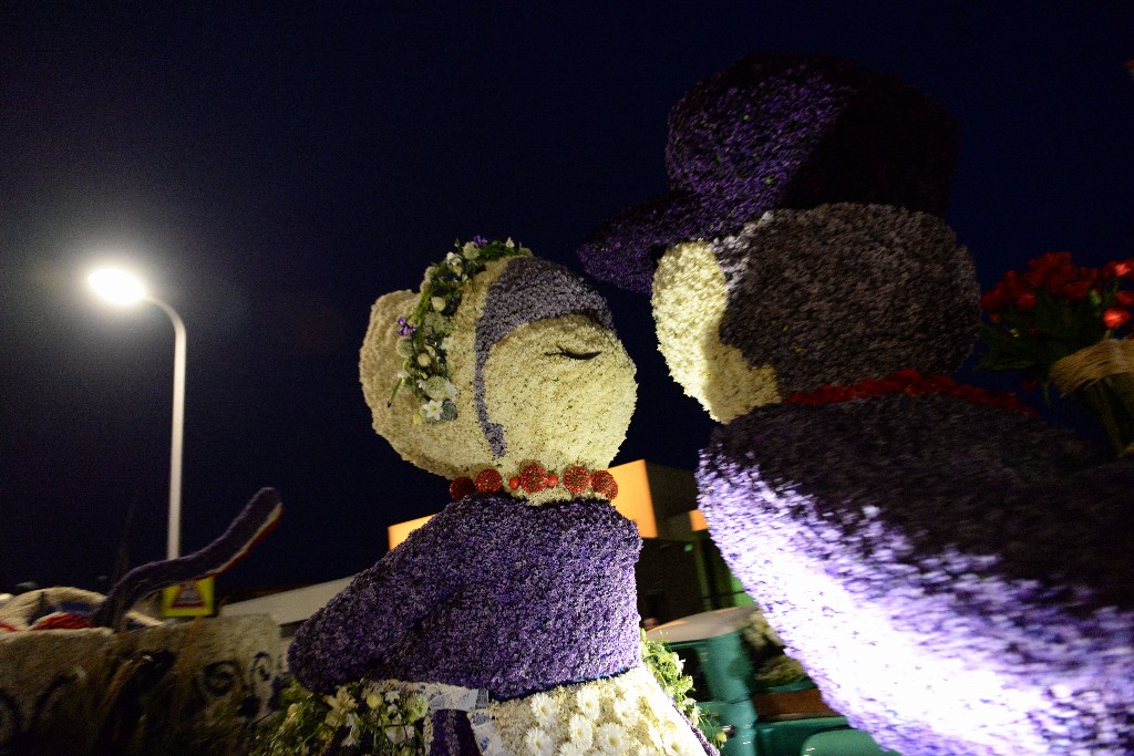 ../Images/Bloemencorso Noordwijkerhout 302.jpg